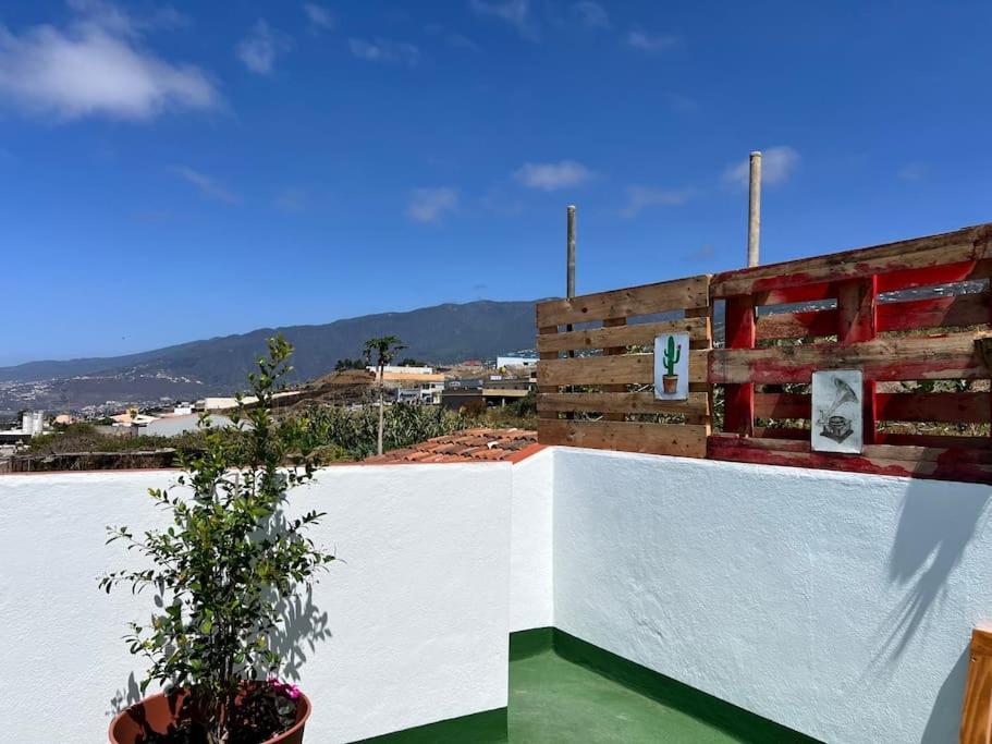 The Zarzamora Canary Little Home Los Realejos Exterior foto