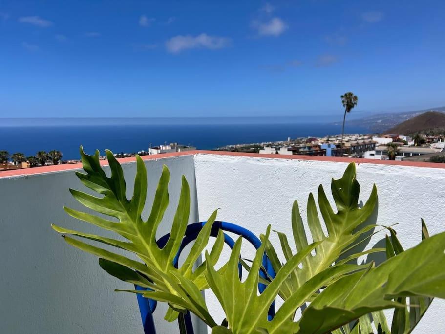 The Zarzamora Canary Little Home Los Realejos Exterior foto