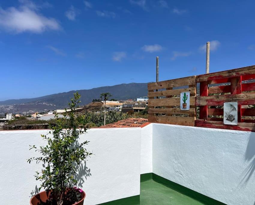The Zarzamora Canary Little Home Los Realejos Exterior foto