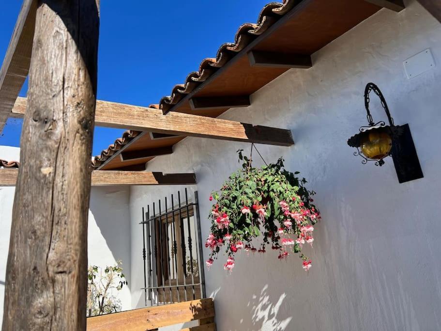 The Zarzamora Canary Little Home Los Realejos Exterior foto