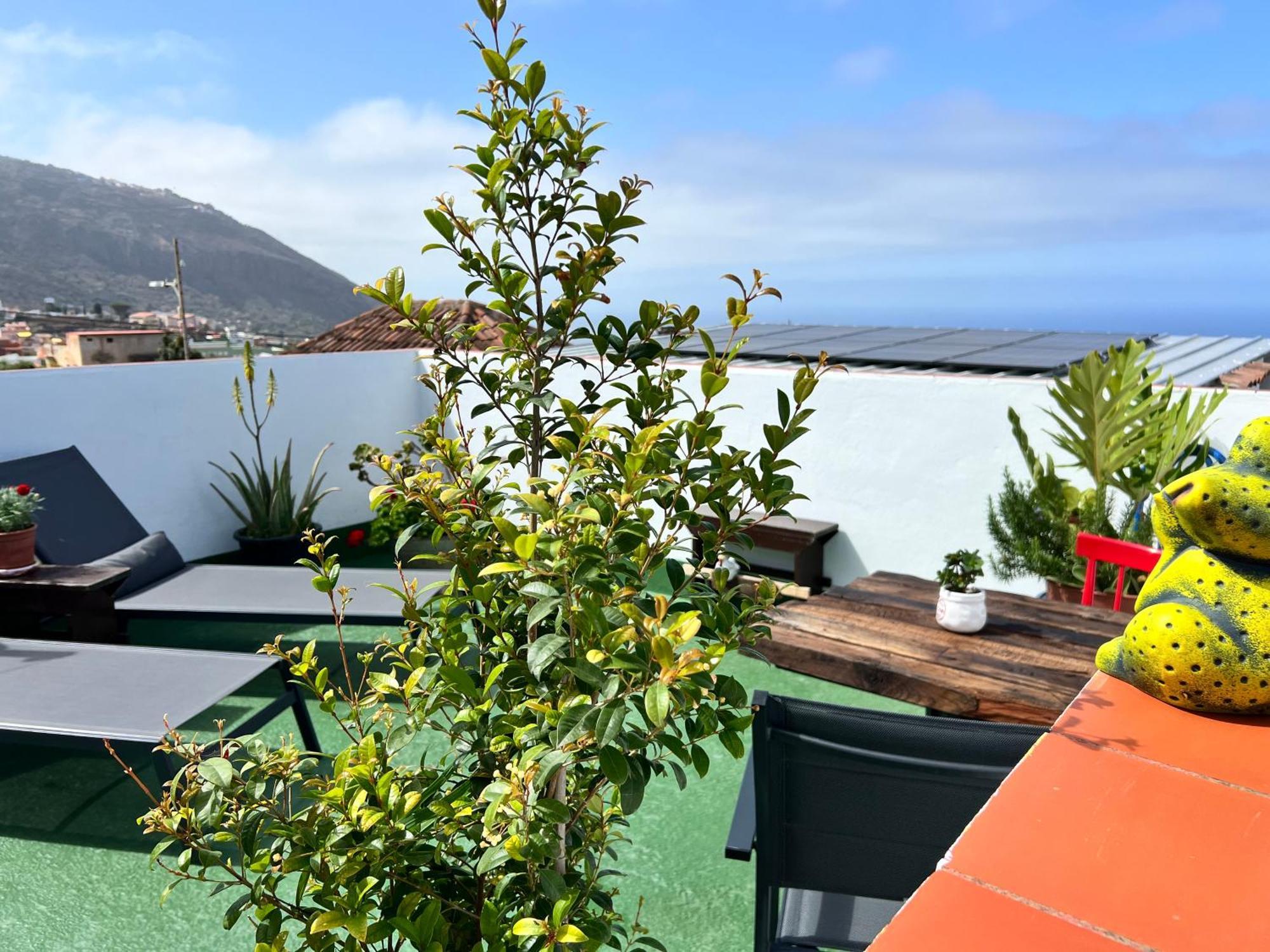 The Zarzamora Canary Little Home Los Realejos Exterior foto